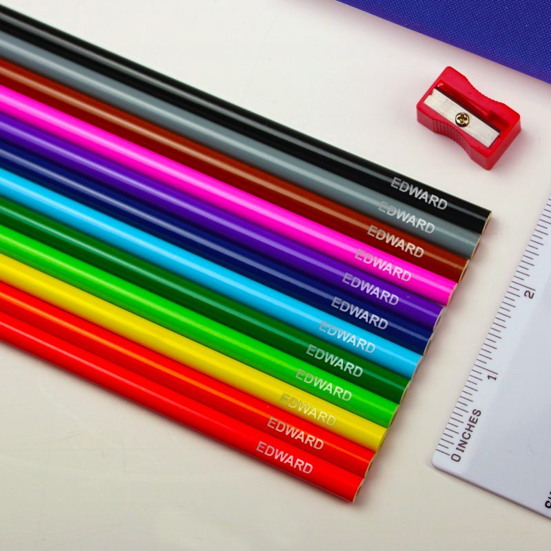 Blue Dinosaur Pencil case & Personalised Crayons - Image 2